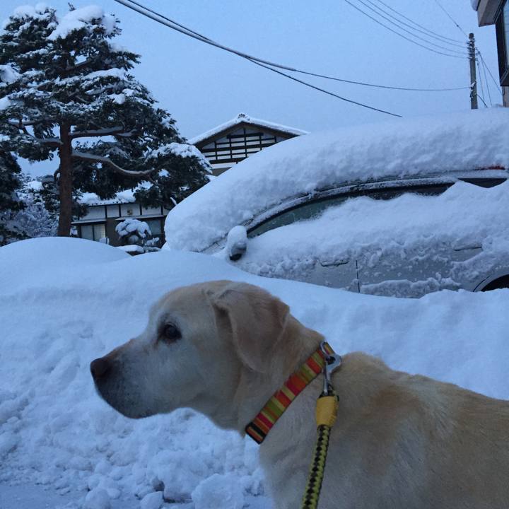 3fe34814 97fc 4fee b131 c27cef49aead 1515708263931