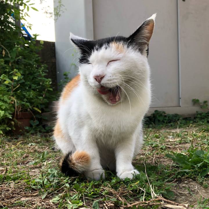 3fe375d0 6992 4b67 8bf5 5c1fe5e1dfc6 1602543444966