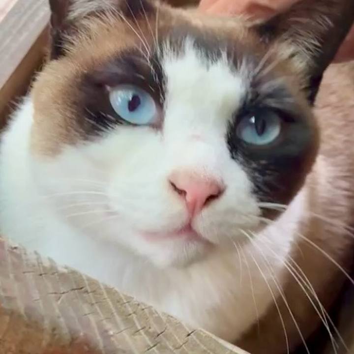 3fe37fbf 9a23 4d4c 9091 4554ca050482 1745049399136