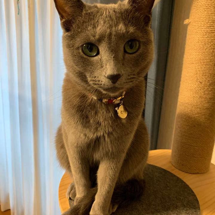 3fe38d35 6d0a 4929 93d4 811f6dde01da 1648335787947