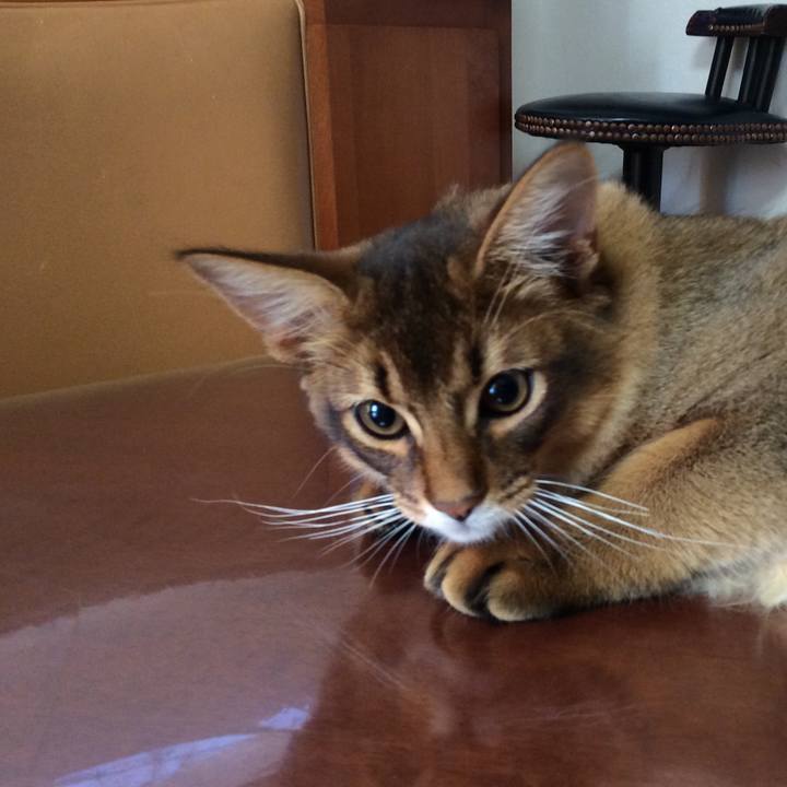 3fe3c796 df16 4050 98da 01536d134c31 1576192801597