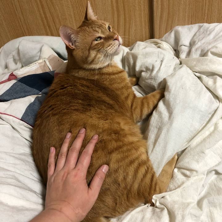 3fe3d44d f709 4846 8db4 ad4d8798d7bf 1588033714749