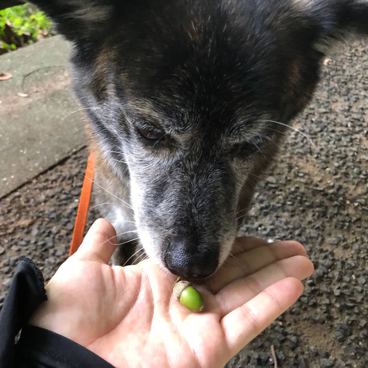 3fe3f8c6 0dc7 4c48 b55b 9cffe36813b7 1692843568823