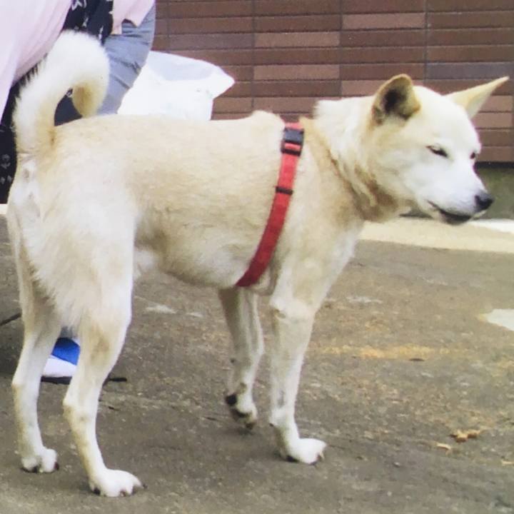 3fe4301a 37ec 4e39 bdf1 ef2b4f09a86f 1540808301379