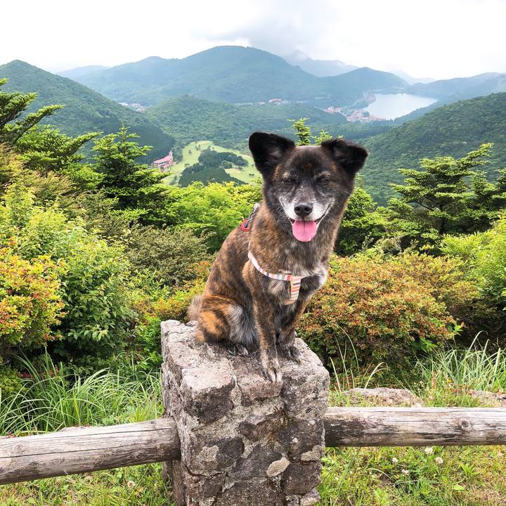 3fe45eab 0ad9 4f25 951e 9af745b02956 1591255870524