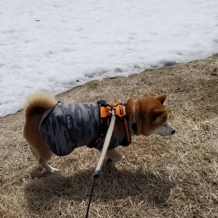 3fe4a7d7 4a4e 4a9c 9f82 72cb90d7ba3c 1615954787582