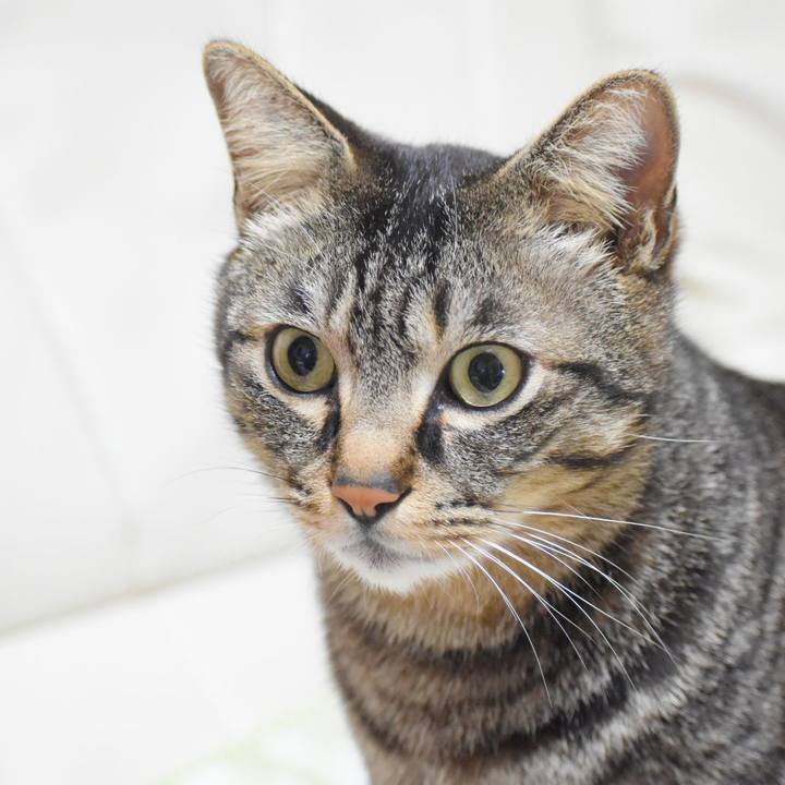 3fe4ac88 a24a 4e76 8942 96d2960aaa69 1550835800503