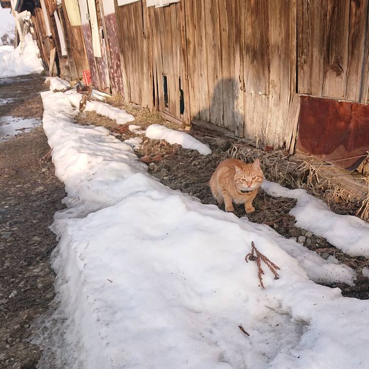 3fe4c7c1 32d7 45e9 a022 d0064c57f71f 1646086223957