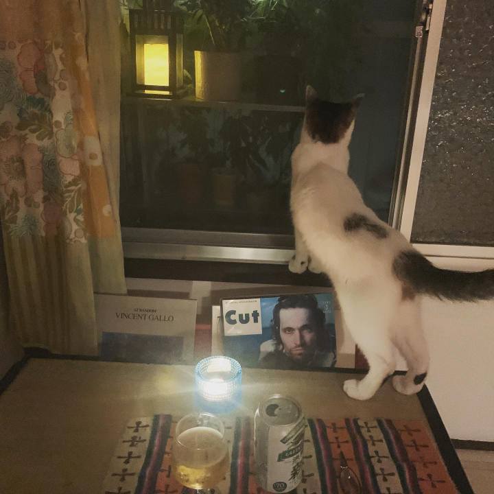 3fe4cd44 3f15 4ae0 994d 716e6cf0c6fb 1625326132549