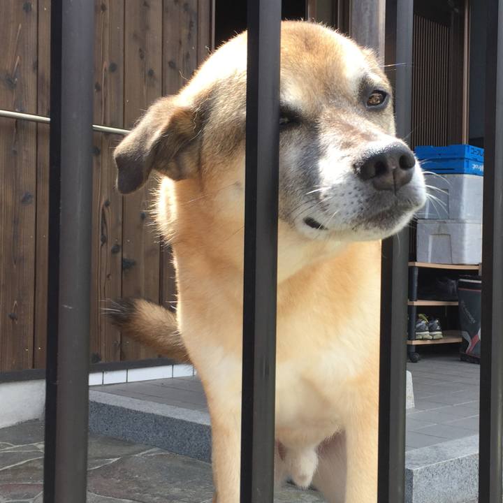 3fe4cfdf 991f 4905 982e 300db31ea0e9 1534146349570