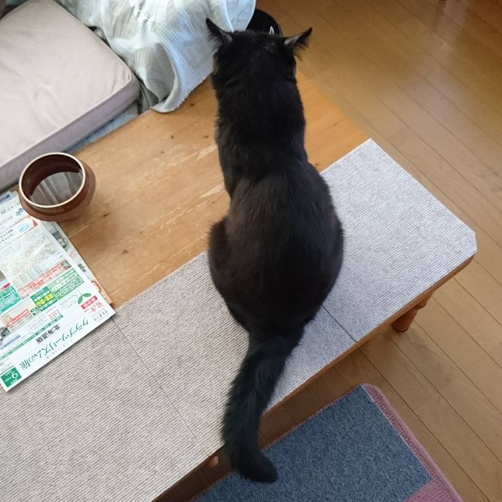 3fe50f33 4bfd 4c2e aed6 75324c0fdc37 1600469764034