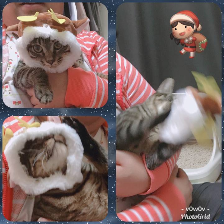 3fe54506 a0a7 432d ab44 c2bc79680fe3 1545530477640