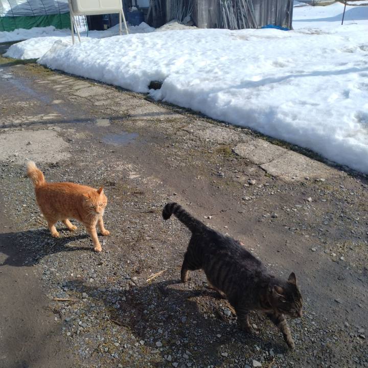 3fe556b0 c16a 4efe b45f c390476264ff 1707712535357