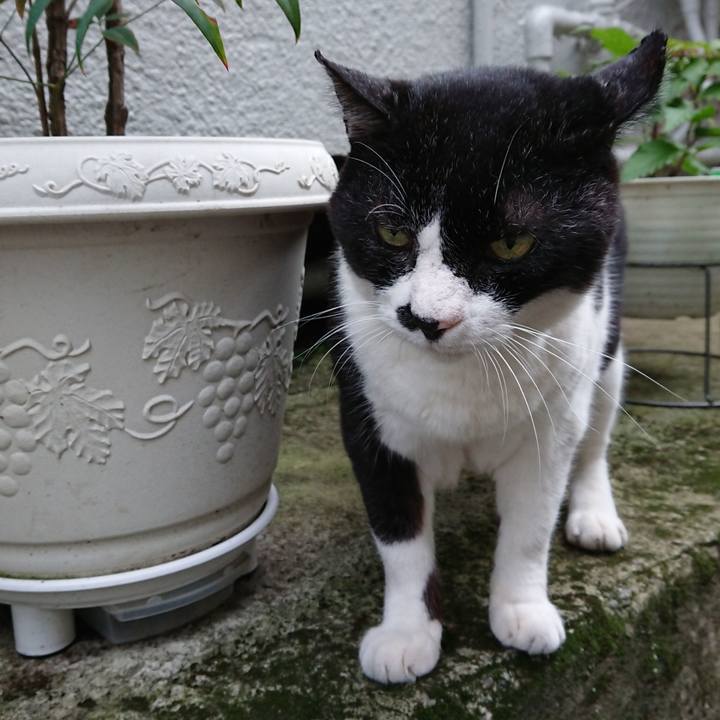 3fe5573b 530e 492e a9f5 8bc1b92d01fb 1664871723115