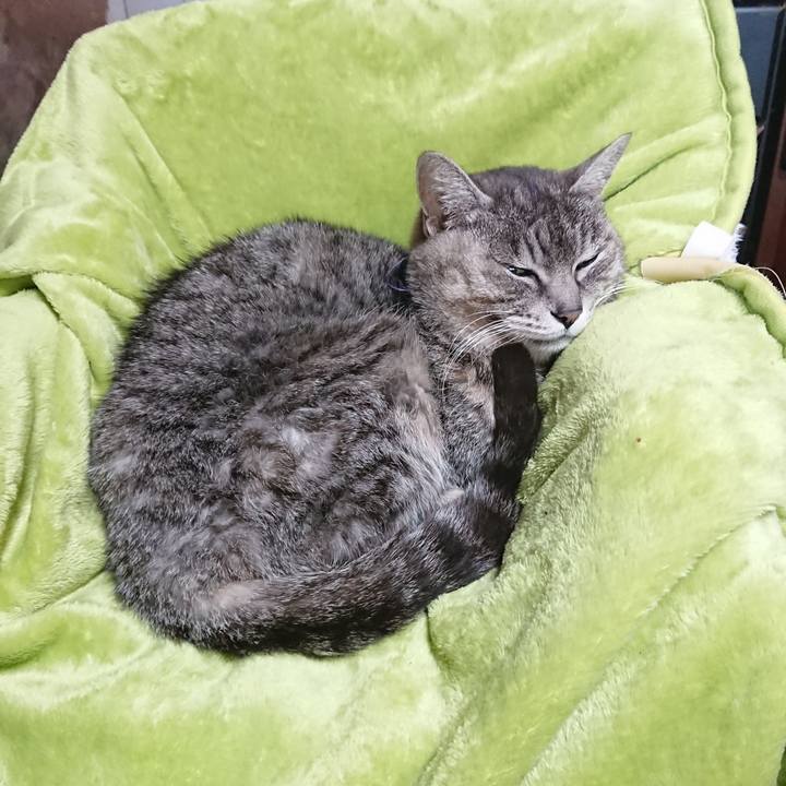 3fe55eaf c8e3 4e5c bdbf 8e1d2d117f26 1584223366254