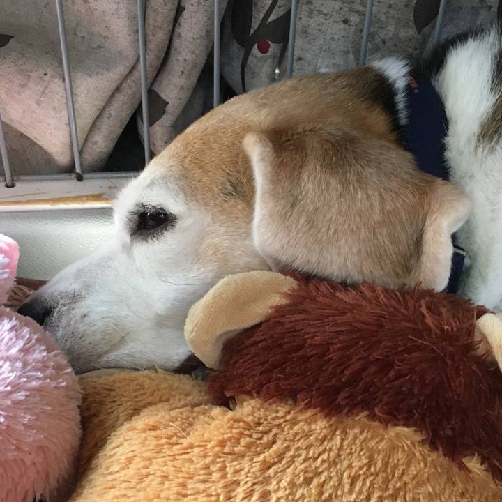 3fe58385 02fc 42ee ba1c fabb618b7705 1572841523811