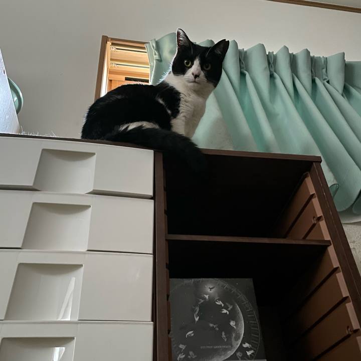 3fe59689 88ae 4bd0 a137 5d91a12d0fac 1710663380933