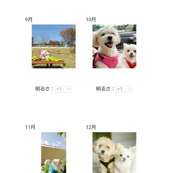 3fe59b62 4311 40b3 b64a 8fe2f1f21b14 1729459374117