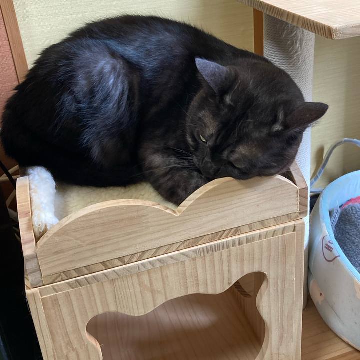 3fe5a871 a747 444a bad3 bf711bea9c72 1712813873300