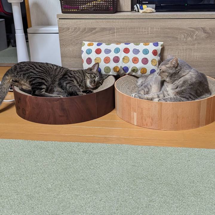 3fe5d5cc 2918 4ec5 9072 66441114b96b 1719115596456