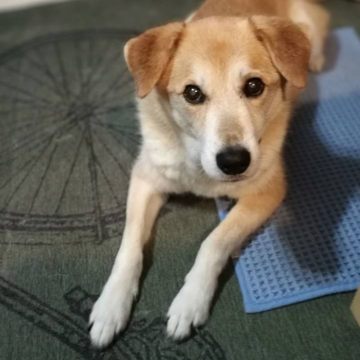 3fe5d7c3 653f 46db 88b2 9cc47db9e505 1561288665295