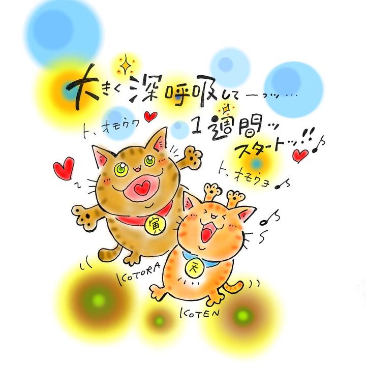 3fe608b2 07b4 4bfe ba64 e533a36d23de 1580133984894