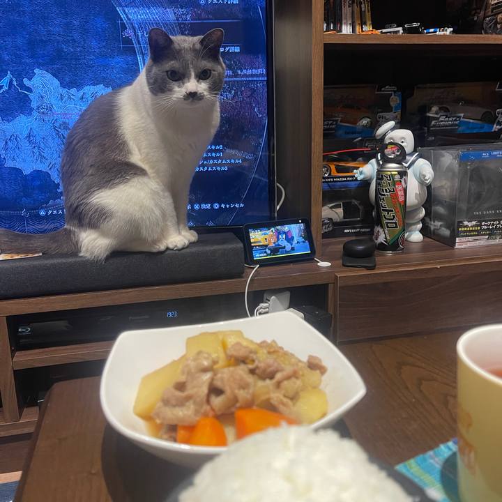 3fe60f78 f5a4 4829 8342 9ea6e20e7eb3 1713263383113