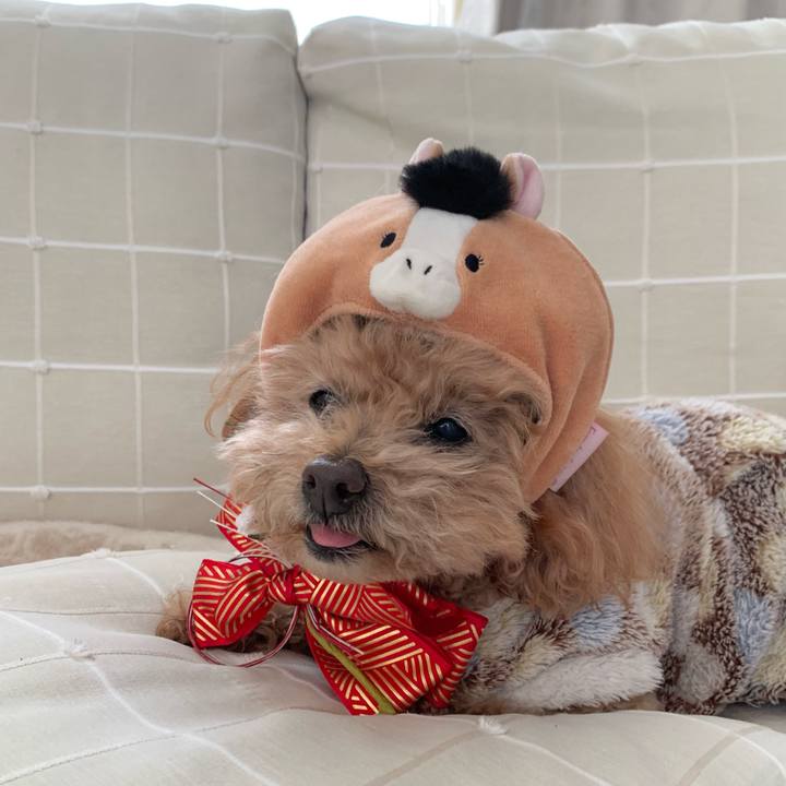 3fe60fac 2e93 4279 acbd add15a58256e 1767224119045