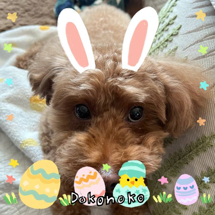 3fe61274 4cf9 4d8a b697 308fe9668ba9 1712360634437