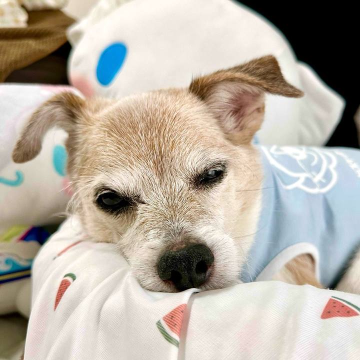 3fe62232 3d69 4055 b4ee 7b8a5b9bff37 1758774061164