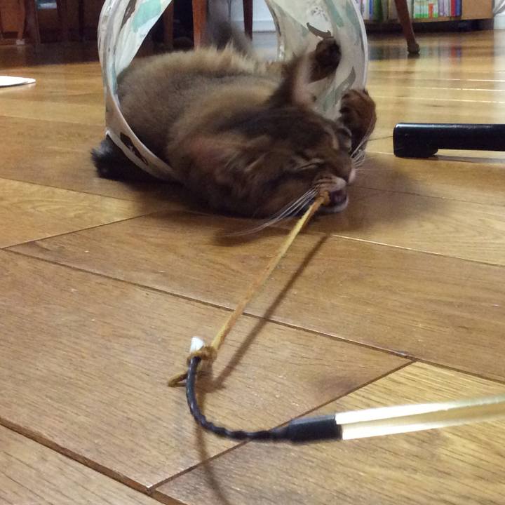 3fe674e5 6160 4a5c 89fa a5ebda2df356 1577004613269