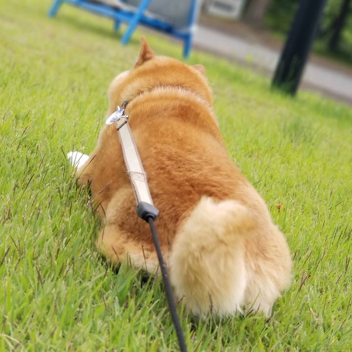 3fe68292 41cc 4be6 999c 402599992c88 1717659343696