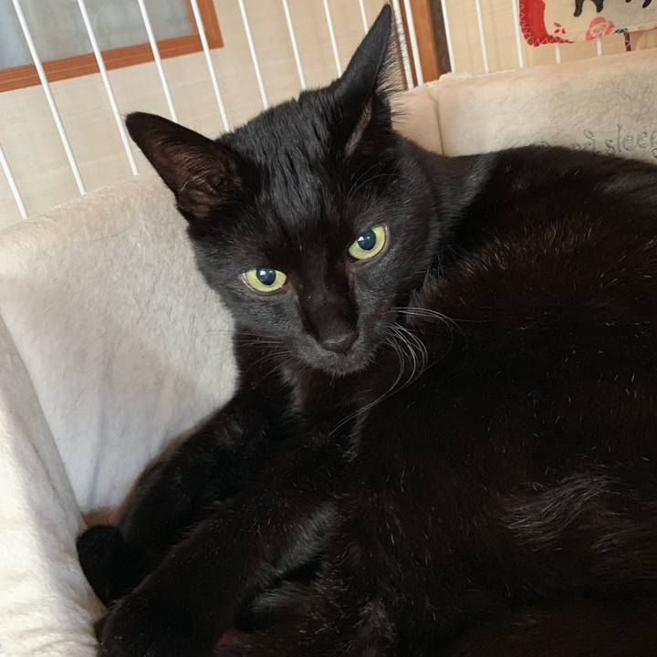 3fe6b5cf fe99 410b bc23 6717004ba6c7 1550019444378