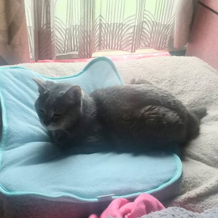 3fe6c6d8 5335 45cf 8560 2993381a12da 1686275111032