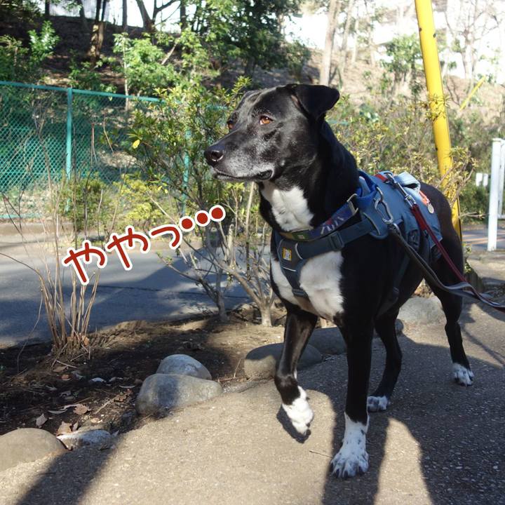 3fe723d0 939e 4222 b985 b9bdb3f8e9df 1710465951894