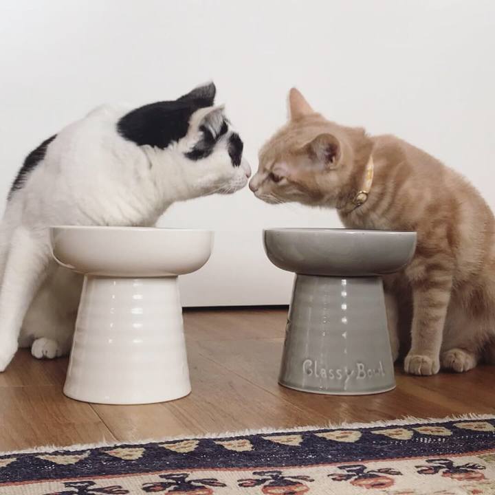 3fe77b7e 1160 40bf 9135 2f15c533e159 1550114636268