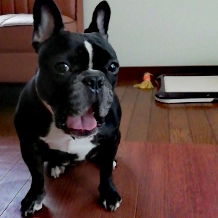 3fe7a347 b594 48dc b9df 7b189f28291f 1533560454540