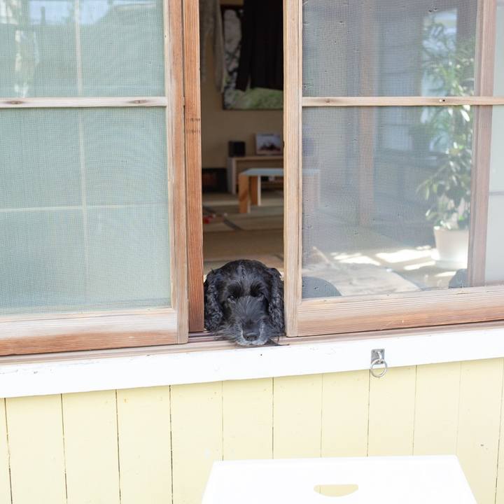 3fe7ba7c 942d 426e a140 2f98442f30bc 1547992056127