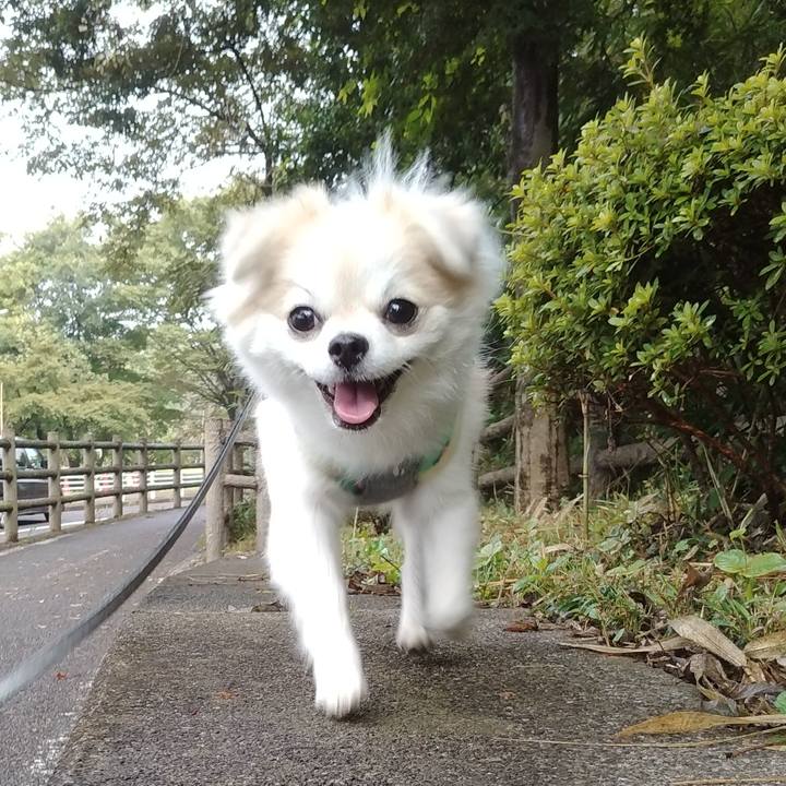 3fe832b9 8766 4774 95b6 d5ee97792942 1632381527974