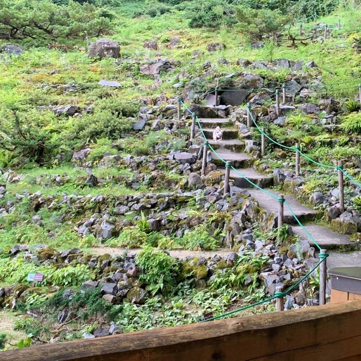 3fe85fd7 c21f 4075 8af2 dc9bd0bcabb5 1566990514045