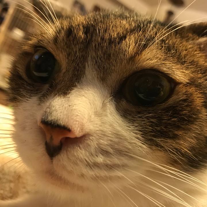 3fe8945a 8061 4d1a 9f50 b132e627ef60 1541226012740