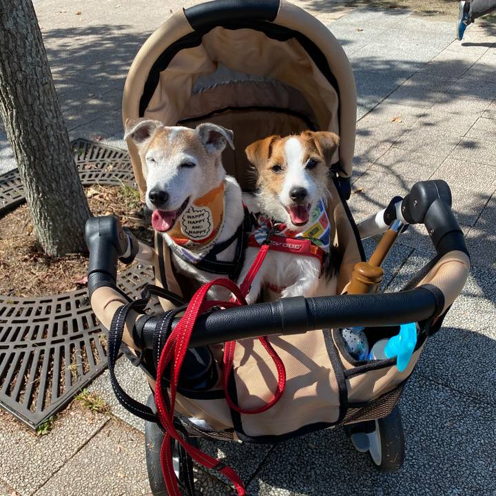 3fe90849 60a8 4747 8bad f666d9f9d070 1633246462191