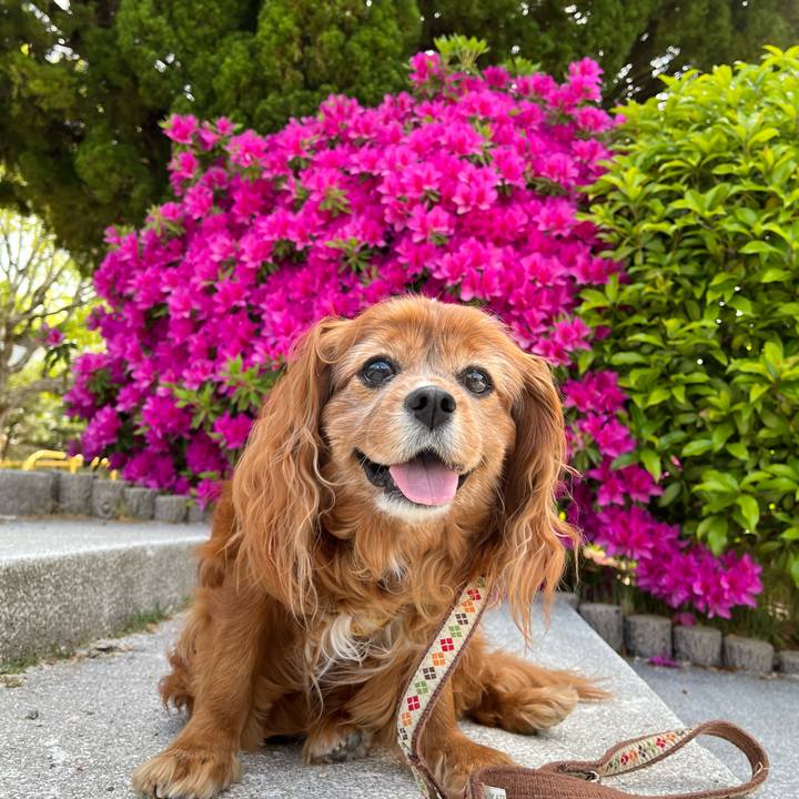 3fe90db9 6eef 4fd1 88ae f02db3367a87 1746317127947