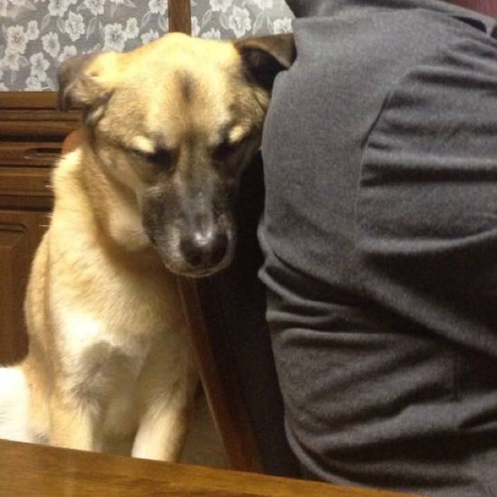 3fe92b1d 1ea3 4811 8473 0830b2289481 1509013289796