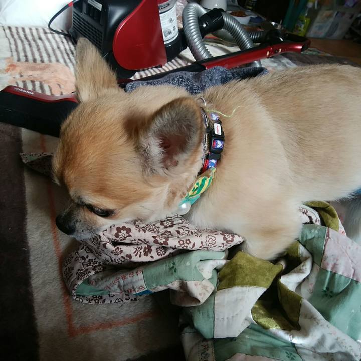 3fe9380f 2544 4f6e 8ca2 f2bca37c670f 1543035046958