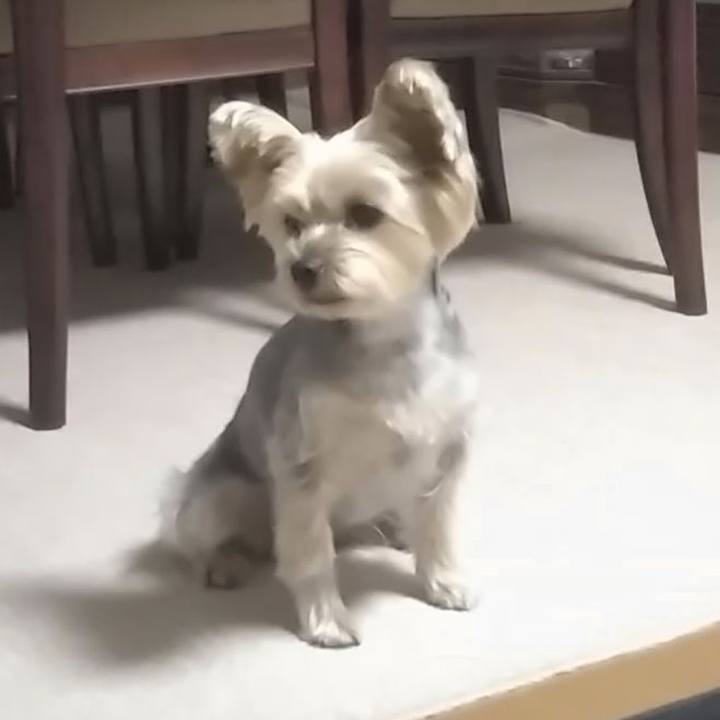 3fe9f384 04c5 480a 9aac 8349080f2dd6 1702200743404