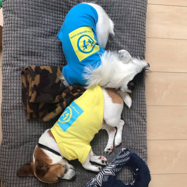 3fea0b42 23ee 4330 b555 bd05e05925df 1541556678711