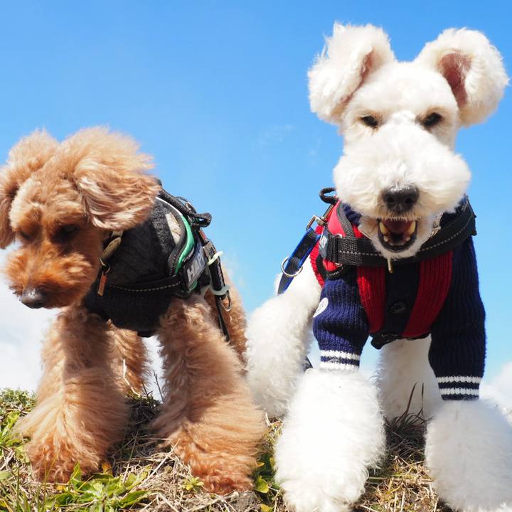 3fea26d7 3f3b 4c94 b5dd 87482821039e 1518575461595