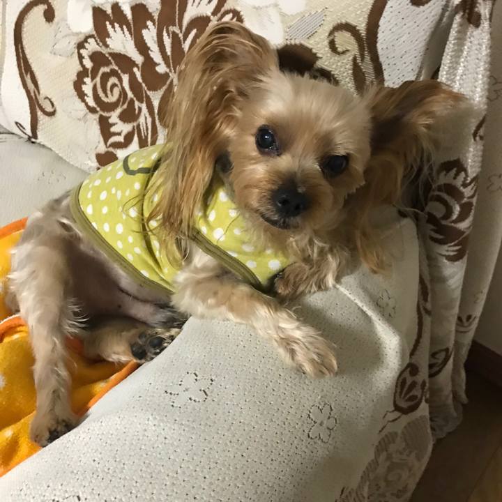 3fea2f41 7db4 4c9e a92e 2231a41fcb6e 1573115836598