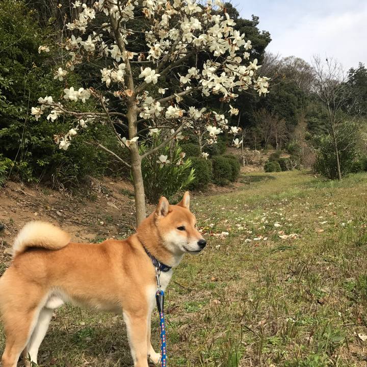 3fea5fc9 083c 4fd0 a167 e8c1c09c265d 1553665775261